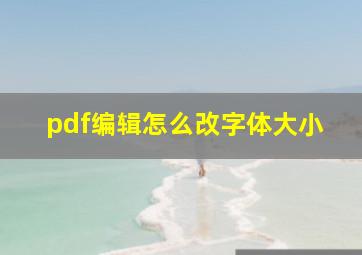 pdf编辑怎么改字体大小