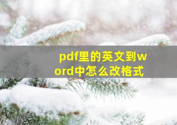 pdf里的英文到word中怎么改格式