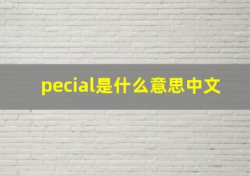 pecial是什么意思中文