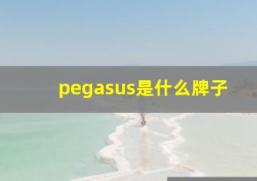 pegasus是什么牌子