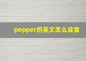 pepper的英文怎么读音