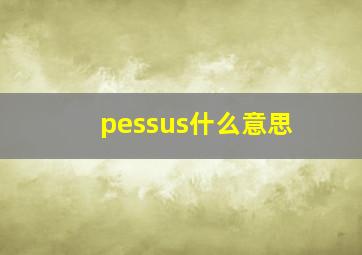 pessus什么意思