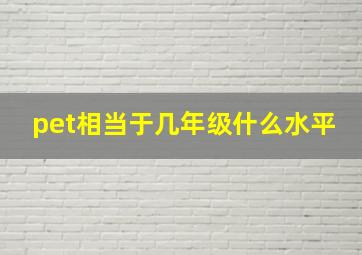 pet相当于几年级什么水平