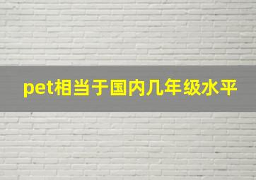 pet相当于国内几年级水平