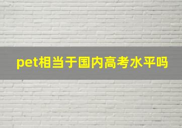 pet相当于国内高考水平吗