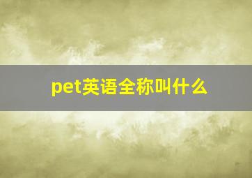 pet英语全称叫什么