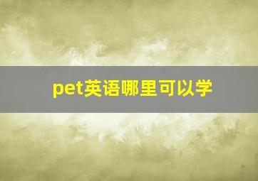 pet英语哪里可以学