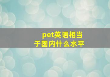 pet英语相当于国内什么水平