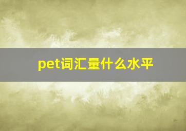 pet词汇量什么水平