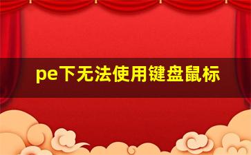 pe下无法使用键盘鼠标