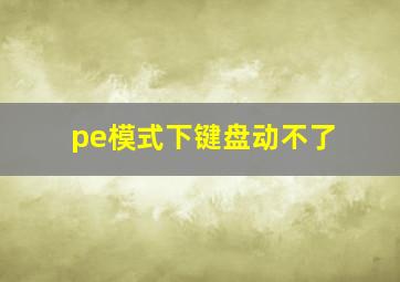 pe模式下键盘动不了