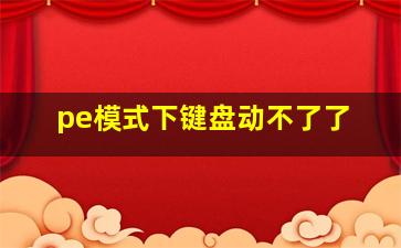 pe模式下键盘动不了了