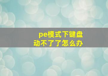 pe模式下键盘动不了了怎么办