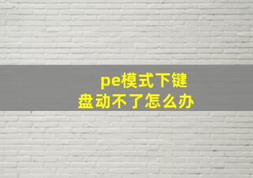 pe模式下键盘动不了怎么办