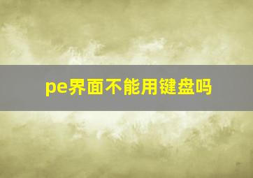 pe界面不能用键盘吗