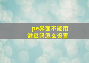 pe界面不能用键盘吗怎么设置