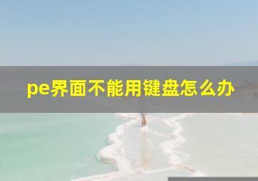 pe界面不能用键盘怎么办