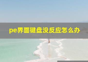 pe界面键盘没反应怎么办