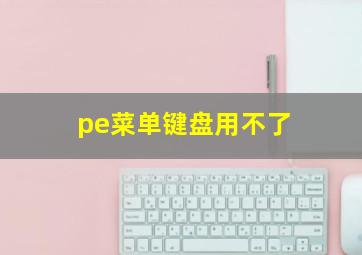 pe菜单键盘用不了