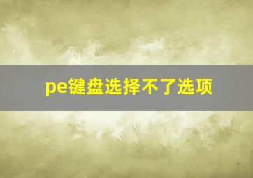 pe键盘选择不了选项