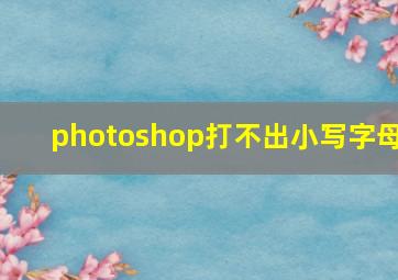 photoshop打不出小写字母