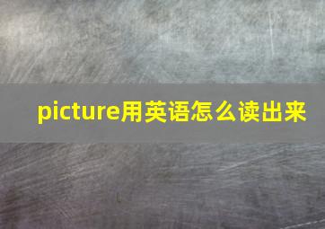 picture用英语怎么读出来