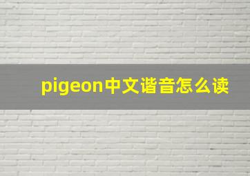 pigeon中文谐音怎么读