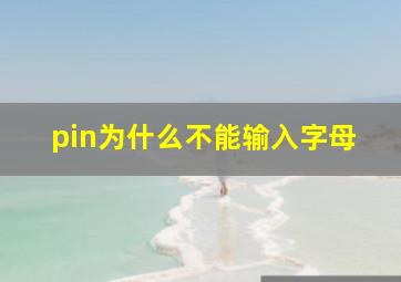 pin为什么不能输入字母