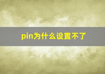 pin为什么设置不了