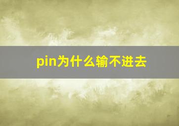 pin为什么输不进去