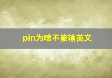 pin为啥不能输英文