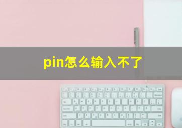 pin怎么输入不了