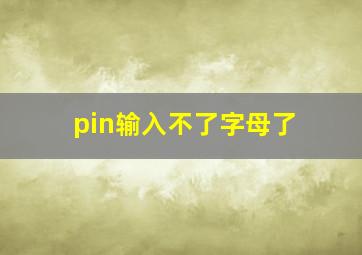 pin输入不了字母了