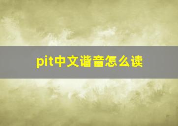 pit中文谐音怎么读