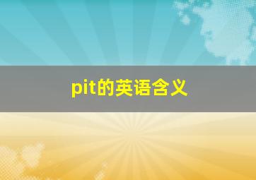 pit的英语含义