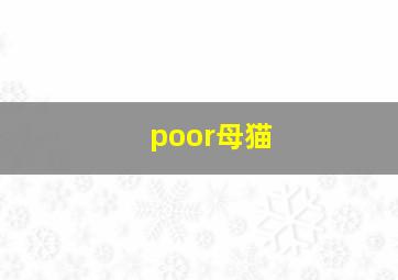 poor母猫