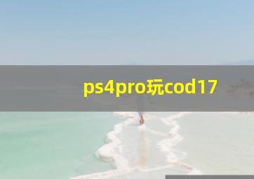 ps4pro玩cod17