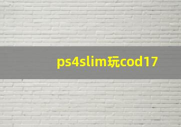 ps4slim玩cod17