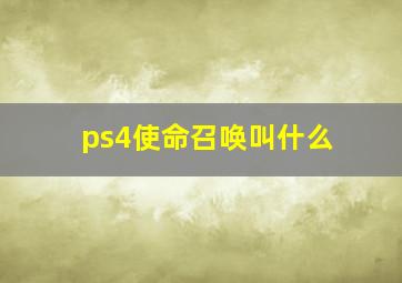 ps4使命召唤叫什么