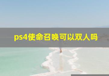 ps4使命召唤可以双人吗