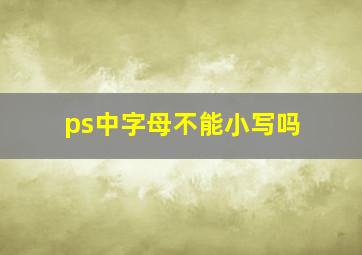 ps中字母不能小写吗