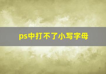 ps中打不了小写字母