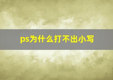 ps为什么打不出小写