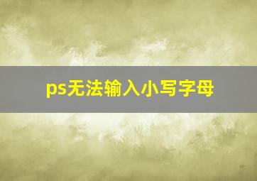 ps无法输入小写字母