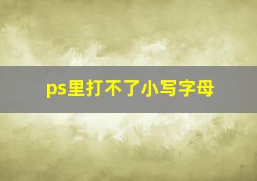 ps里打不了小写字母