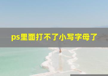 ps里面打不了小写字母了