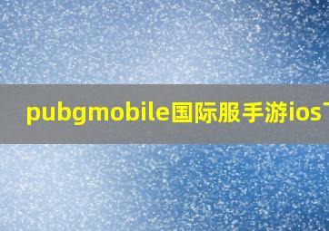 pubgmobile国际服手游ios下载