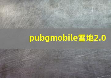 pubgmobile雪地2.0