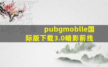 pubgmoblle国际版下载3.0暗影前线