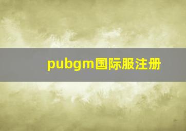 pubgm国际服注册